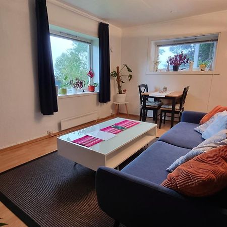 Cosy Tromso Apartment エクステリア 写真
