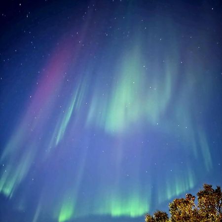 Cosy Tromso Apartment エクステリア 写真