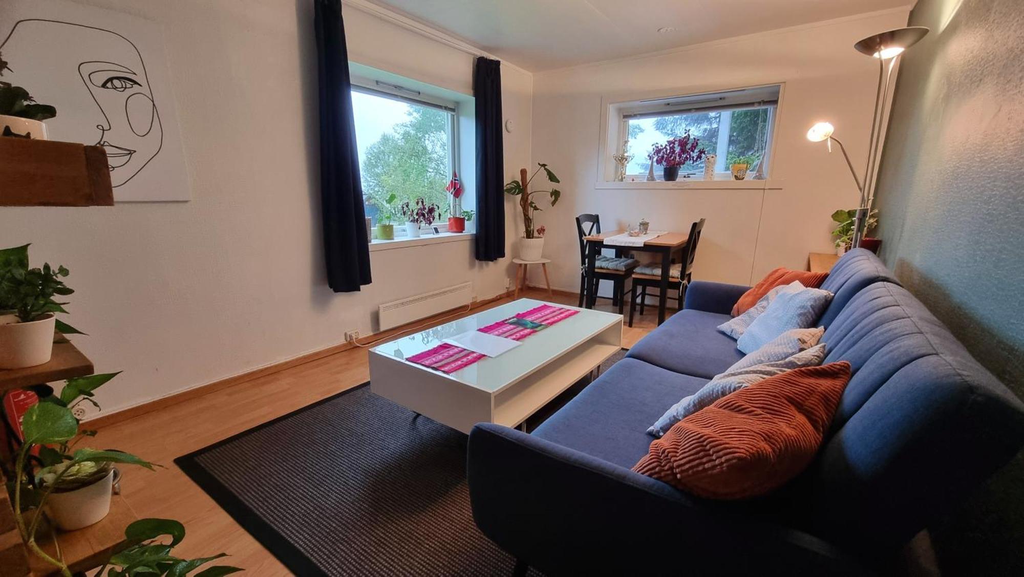 Cosy Tromso Apartment エクステリア 写真